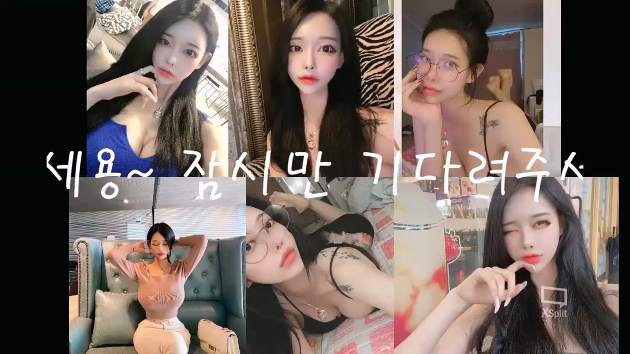 유튜버 ㅅㅂ와 결혼한 bj 셀리/YouTubeのㅅㅂと結婚したbjセリー/BJ Sally married to YouTuber Ssb